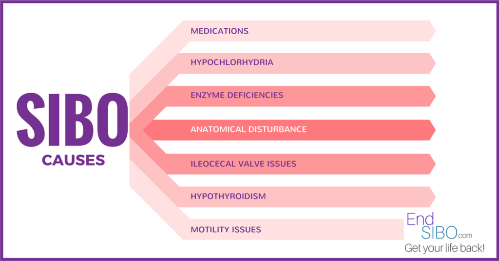 SIBO Causes